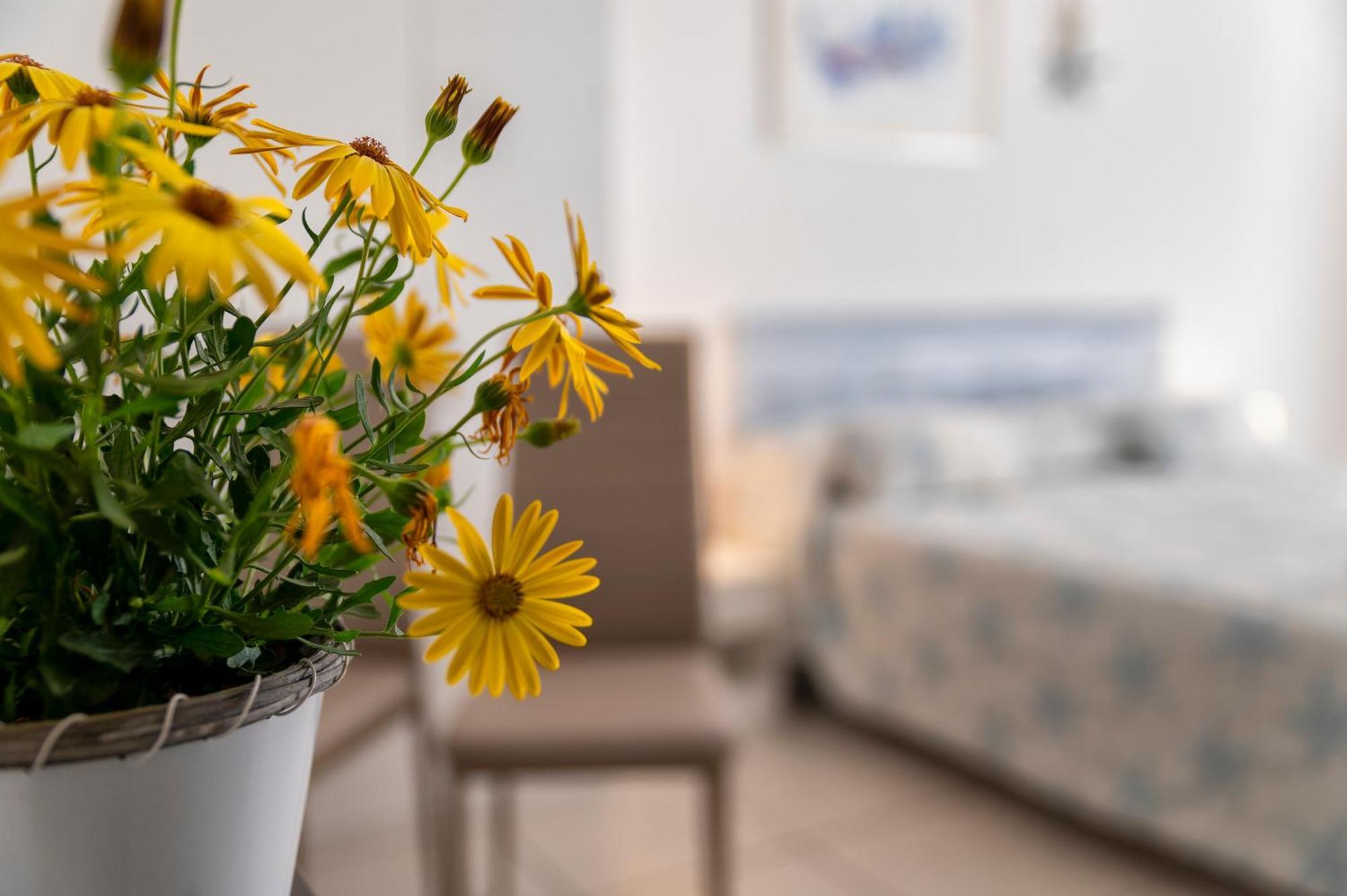Horizon Bed & Breakfast Alghero Bagian luar foto